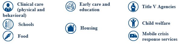 Clinical care (physical and behavioral) Early care and education Title V Agencies    Schools  Housing 	Child welfare    Food 	Mobile crisis response services