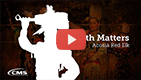 Video thumbnail of Umatilla Tribe champion jingle dress dancer Acosia Red Elk