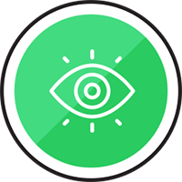 Vision icon
