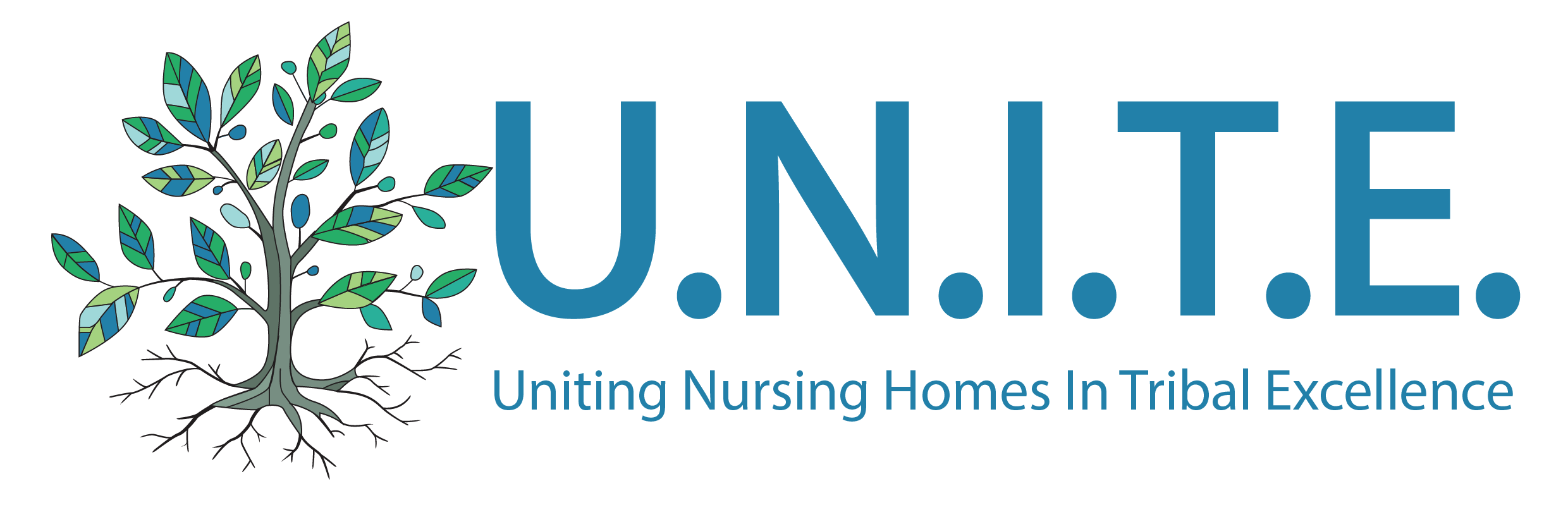 UNITE–Uniting Nursing Homes In Tribal Excellence