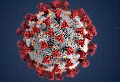 image of a spherical shaped virus