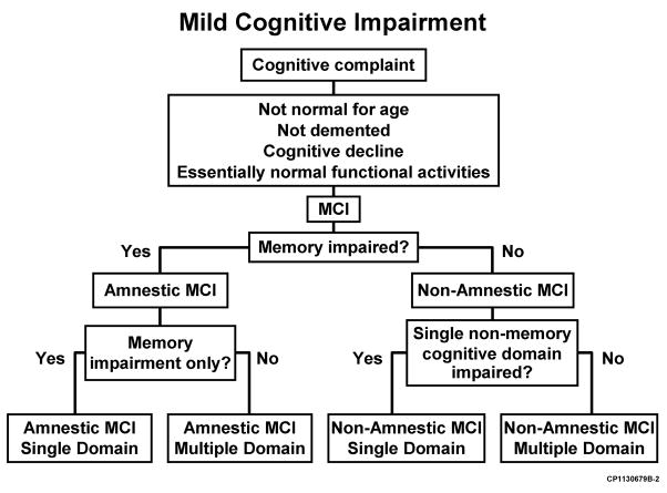 Mild Cognitive Impairment