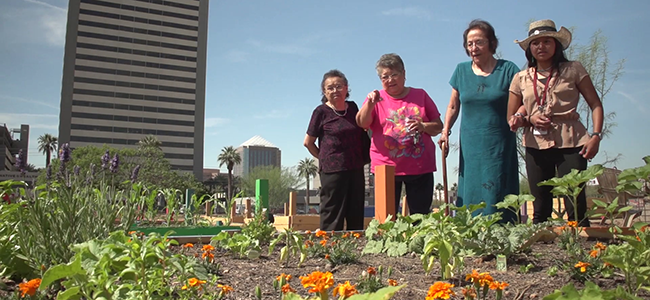 State Medicaid Plans and Waivers Illustration