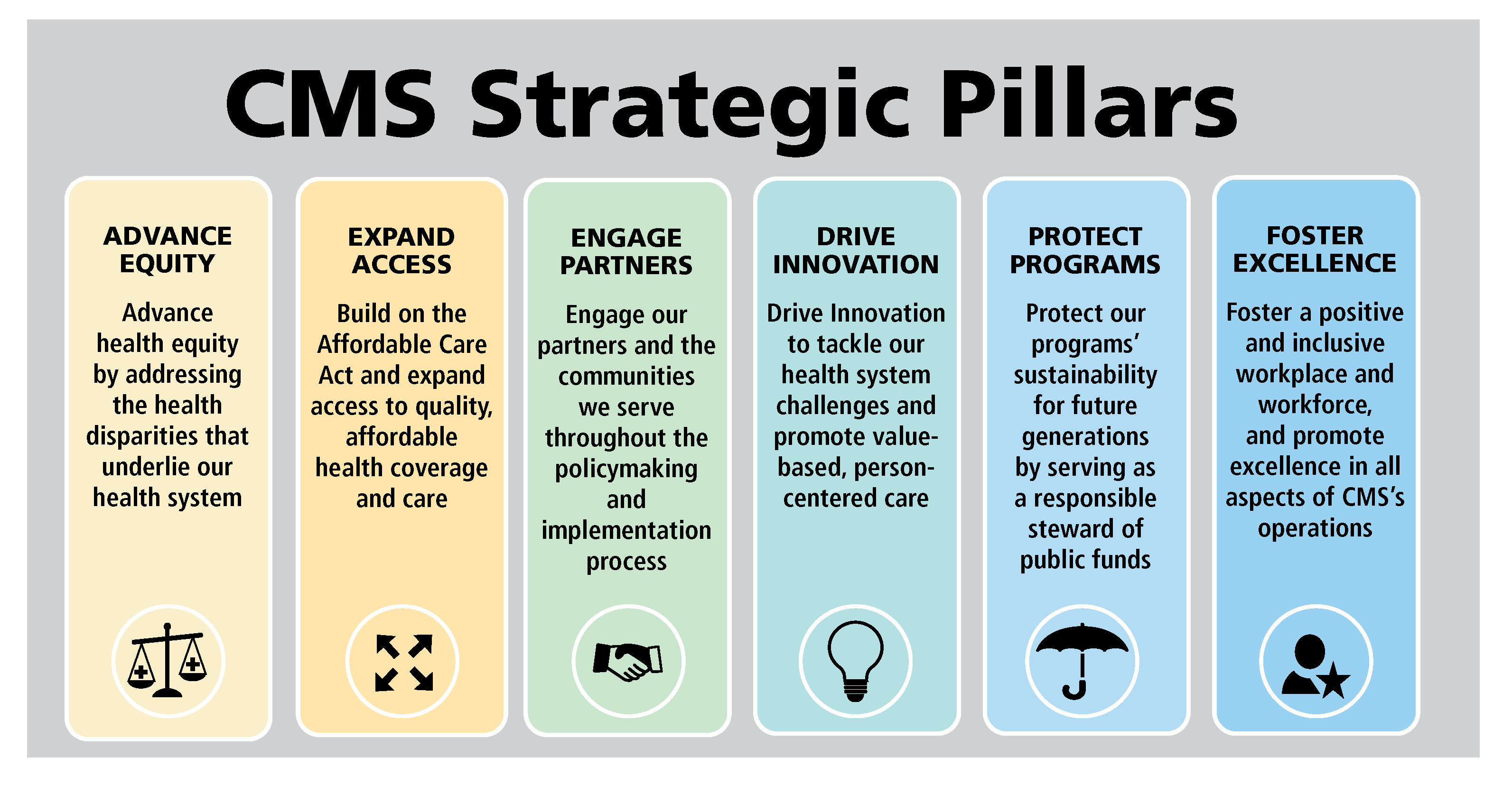 Colorful infographic of the strategic pillars